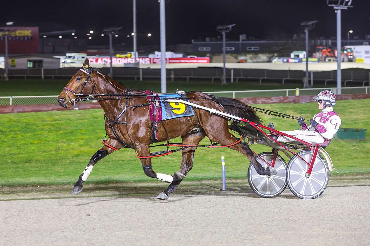 Kentuckiana - 🏁 Let's go racing! We've got three runners from team ...