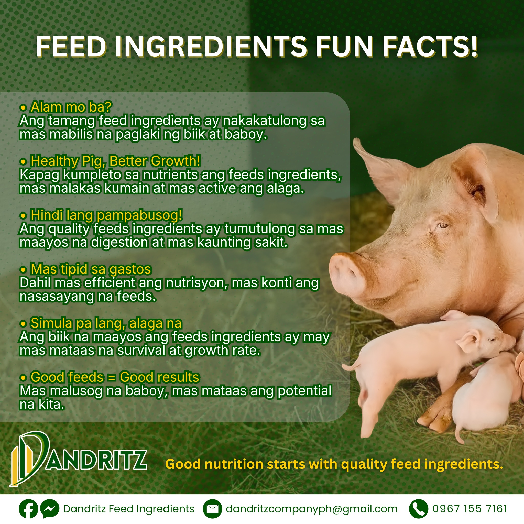 🐷 Feeds Ingredients Fun Facts!... - Dandritz Feed Ingredients | Facebook