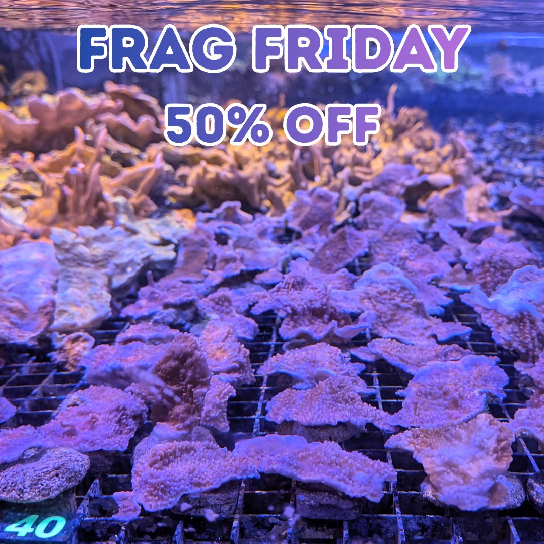 We are bringing back Frag... - Reef Systems Coral Farm | Facebook