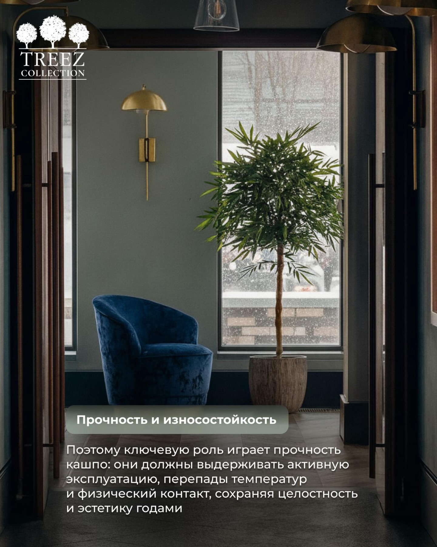 Treez Collection | Moscow