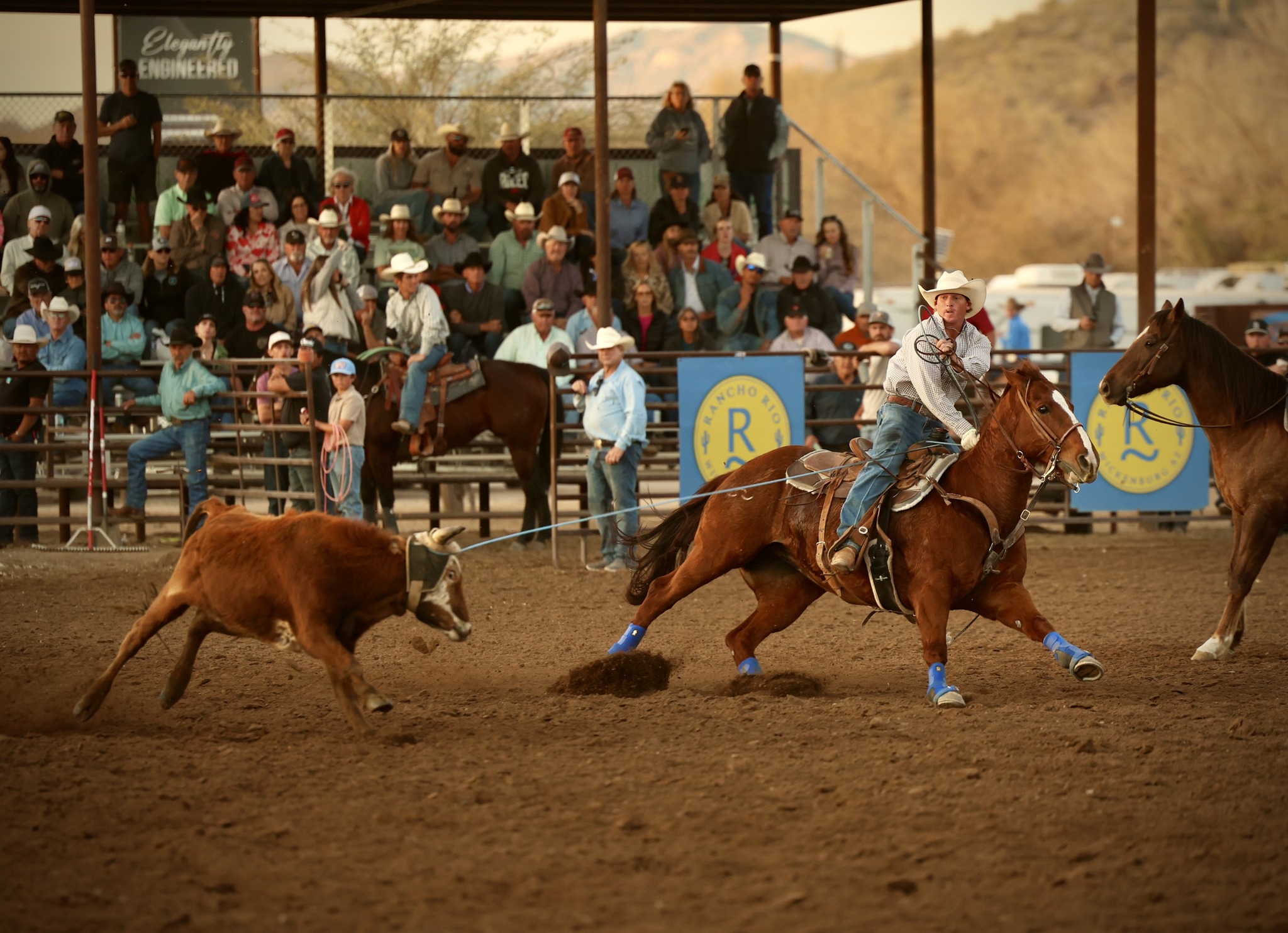 The Team Roping Journal... - The Team Roping Journal Magazine