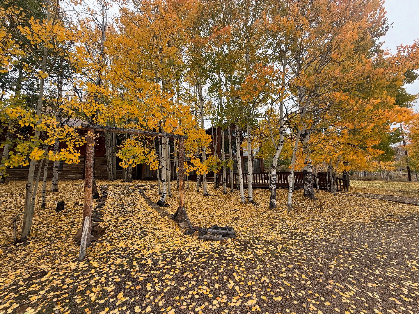 Reid Ranch Resort