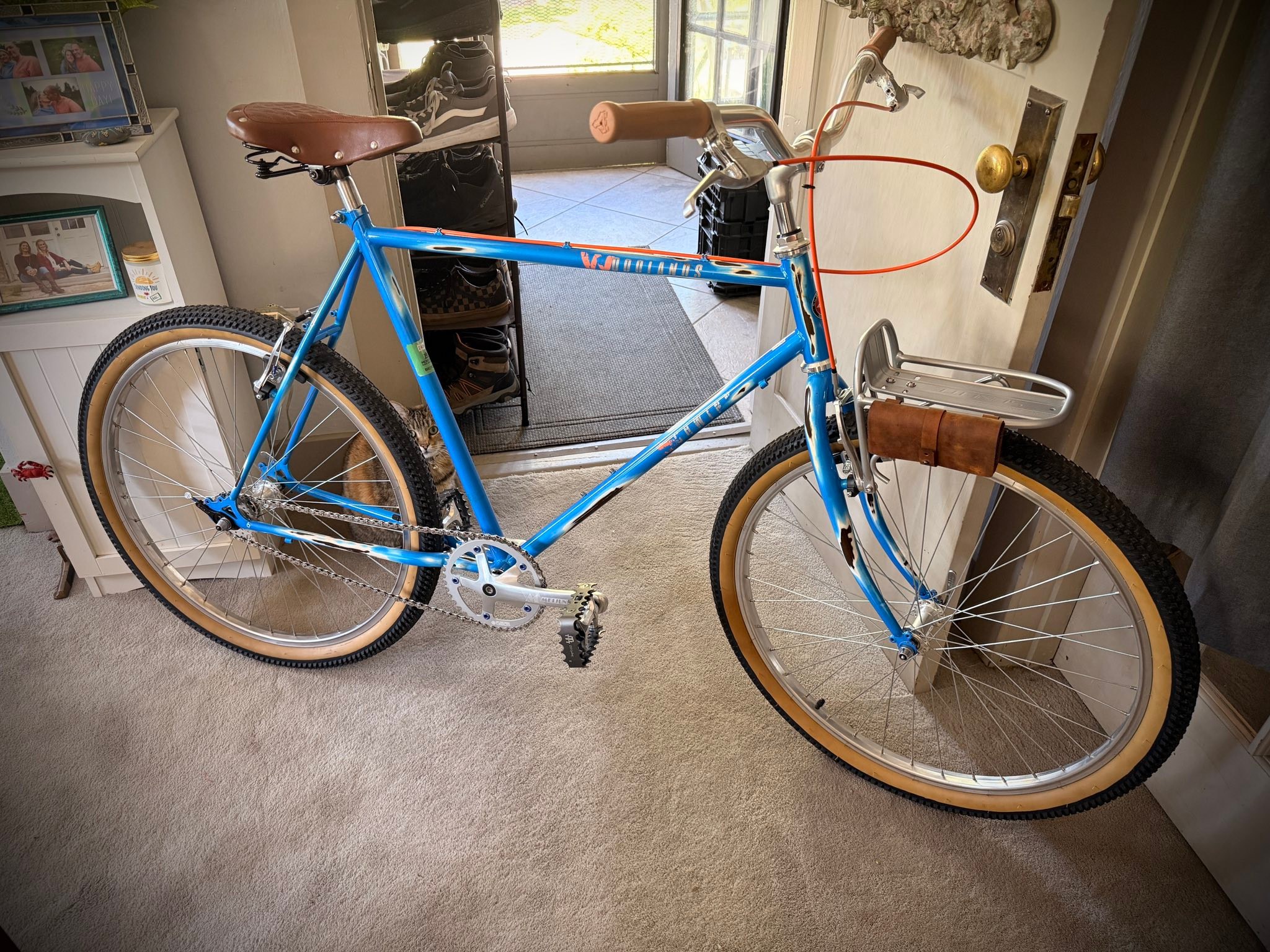Schwinn Woodlands bike with handmade leather front rack bag