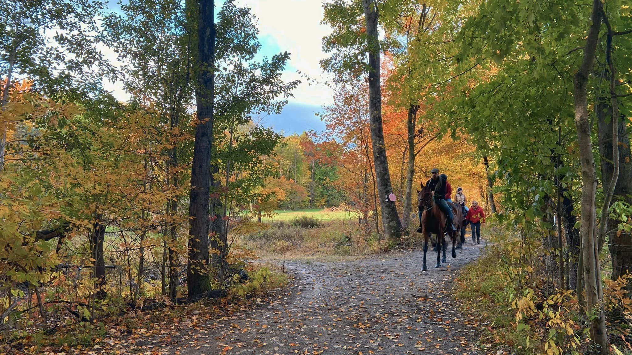 KZOO - Fall HORSEBACK RIDING at Rise & Ride Ranch in Allegan 🍂 🐴 ...