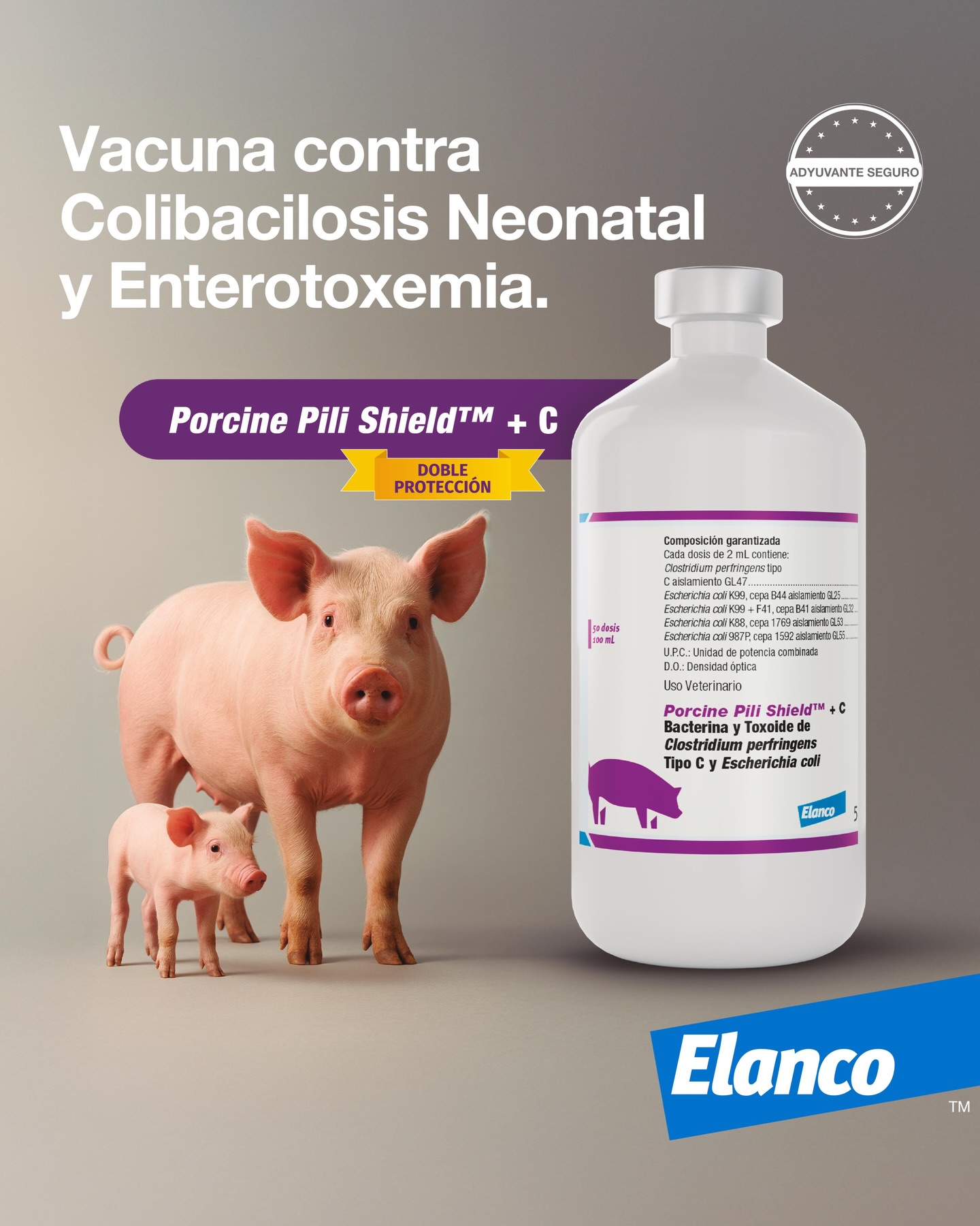 Elanco - Paylean™ 20🐖 Efectivo para el incremento de la tasa de ...