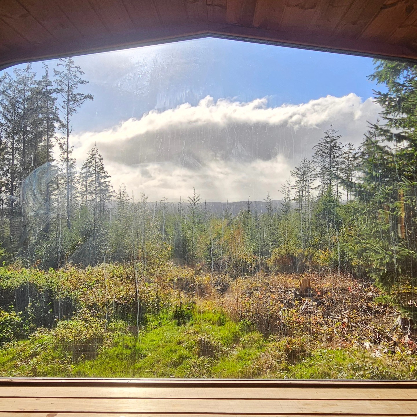 Visit Exeter - The beauty of Haldon Forest combined with a... | Facebook