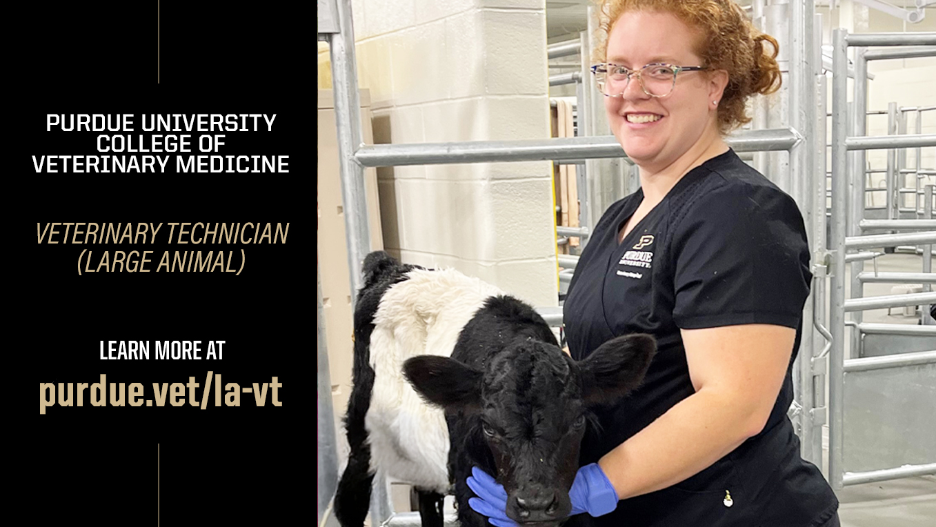 Purdue University College of Veterinary Medicine & Veterinary Hospital ...