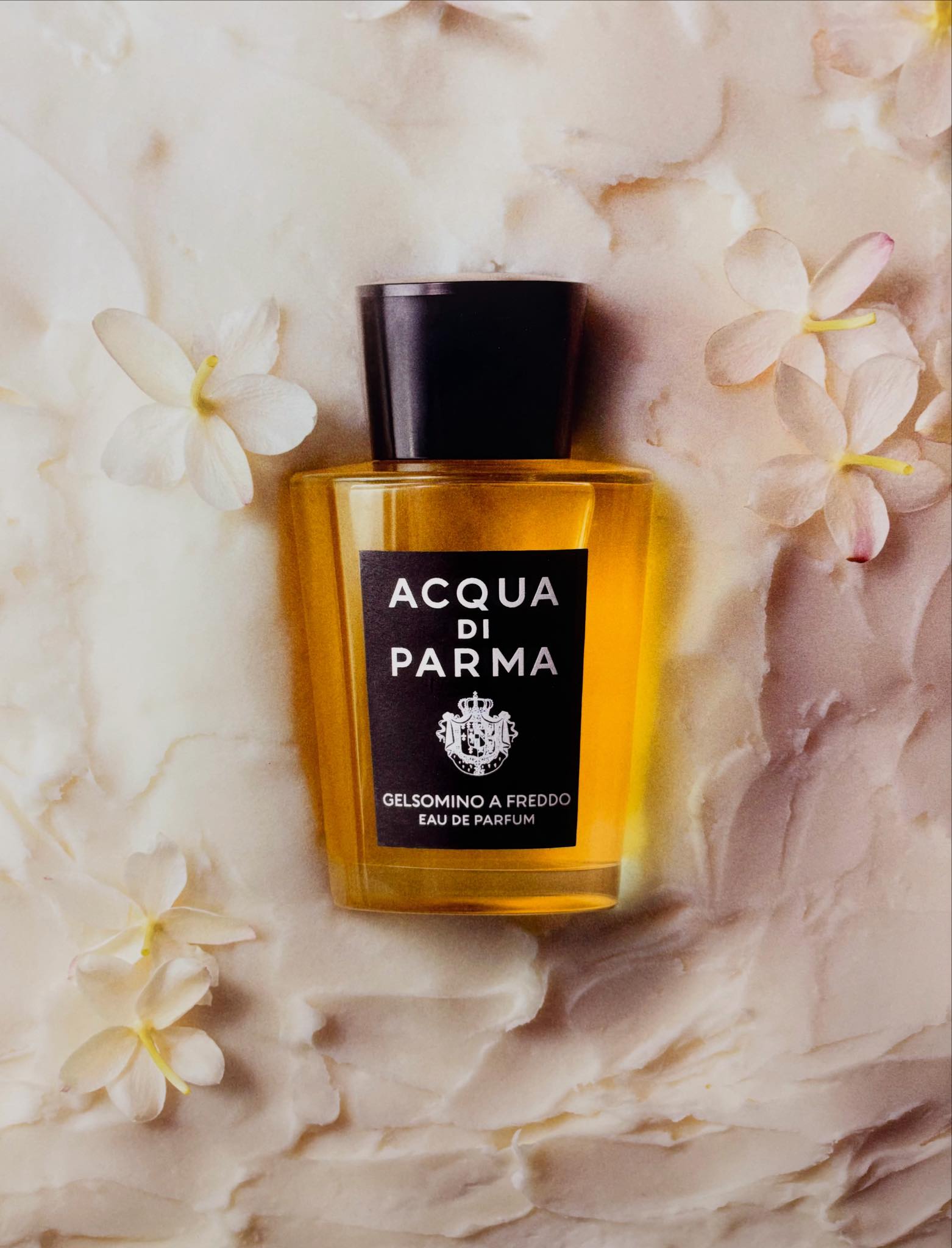 Novità Acqua di Parma❗️ Gelsomino A Freddo Eau de Parfum Una 