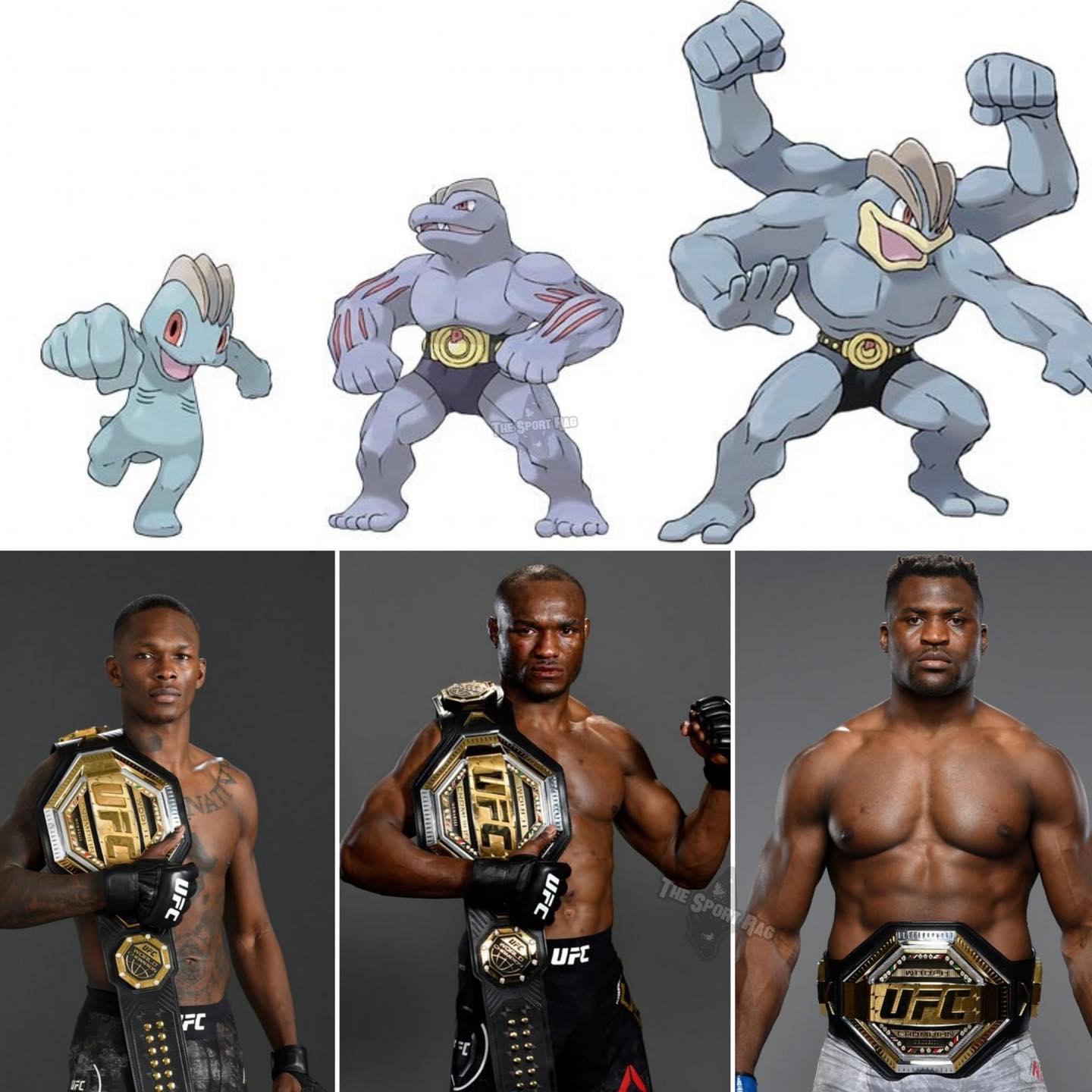 HSPR - Definición gráfica de una evolución en la UFC 🤣...