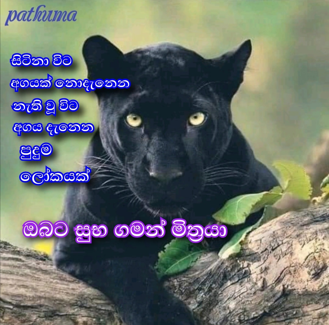 Pathuma - පැතුම
