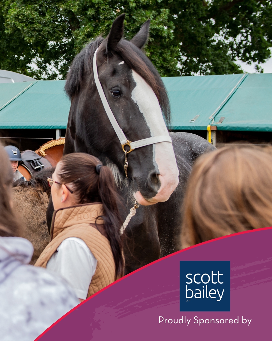 Scott Bailey LLP | Lymington