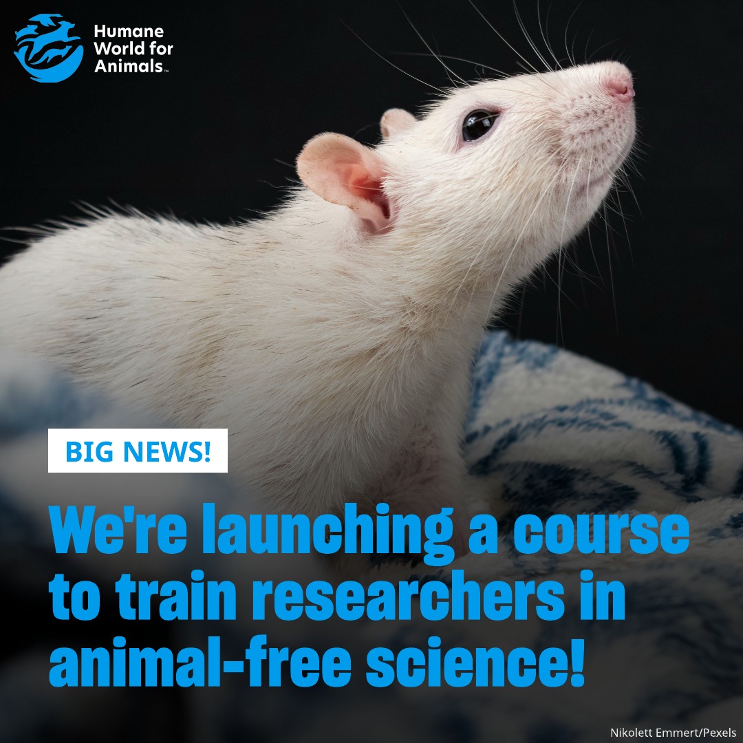 Humane - 📣 BIG NEWS! 📣 We’re excited to announce that we’re developing ...