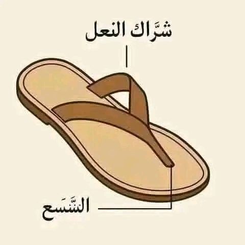 -هل تعرفون معنى ::((لا يساوي... - ابو حاتم القرشي الجزائري | Facebook