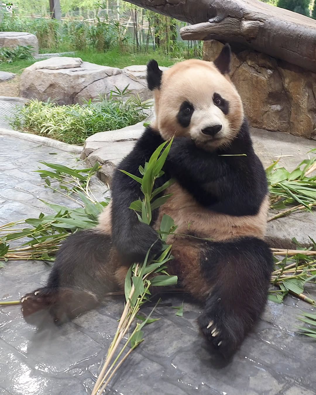 Rui Hui đáng yêu added a new photo. - Rui Hui đáng yêu