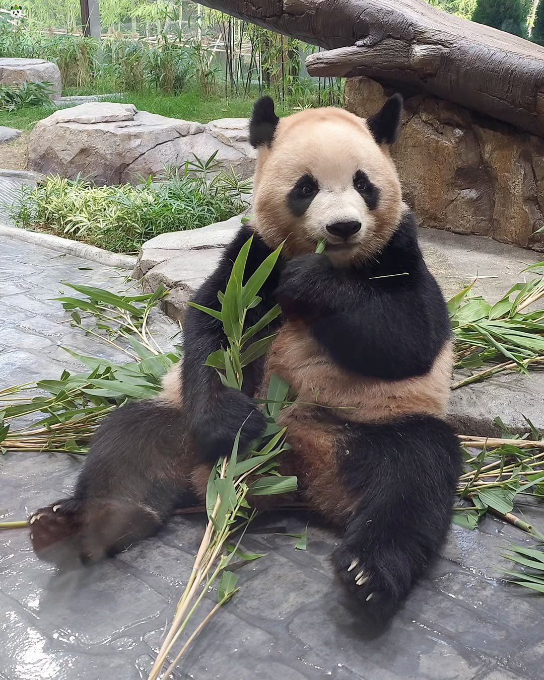 Rui Hui đáng yêu added a new photo. - Rui Hui đáng yêu