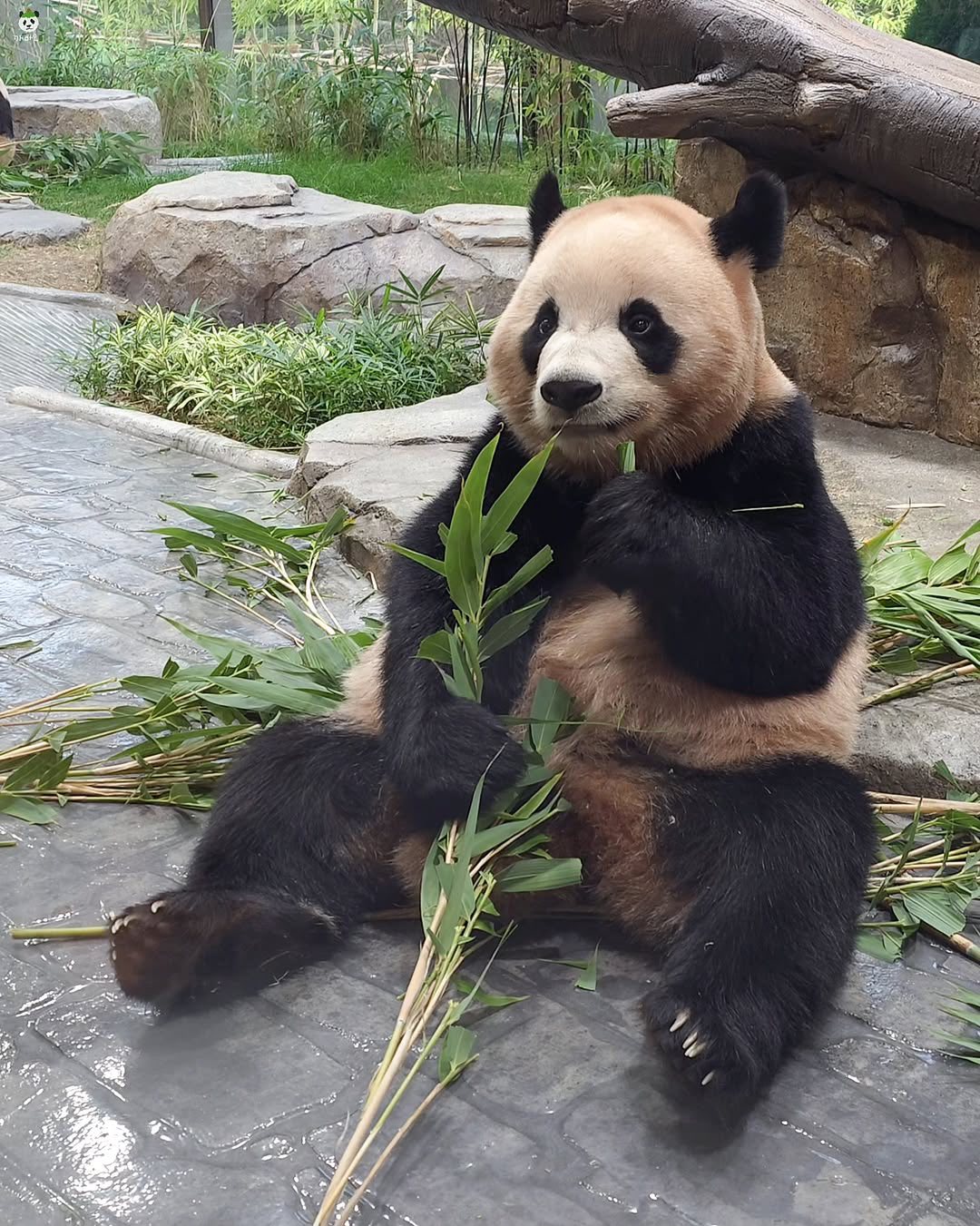 Rui Hui đáng yêu added a new photo. - Rui Hui đáng yêu