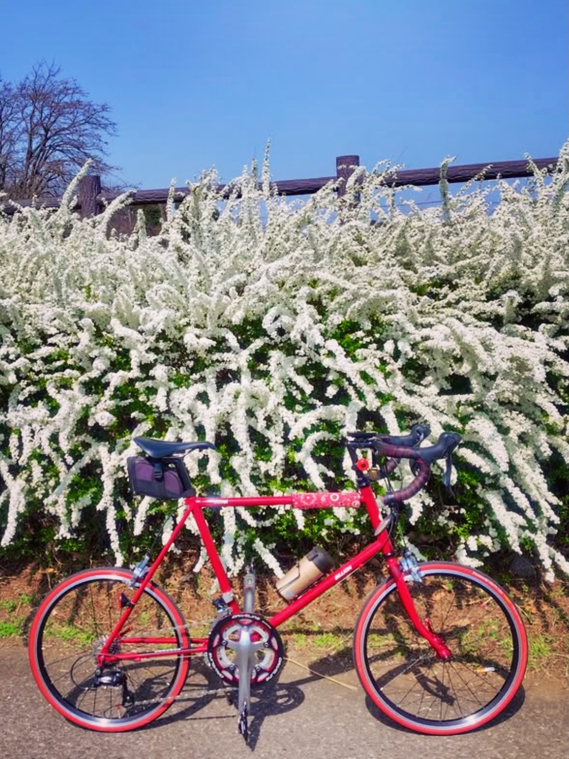 自転車工房 CYCLE MAKES | Kawasaki-shi Kanagawa