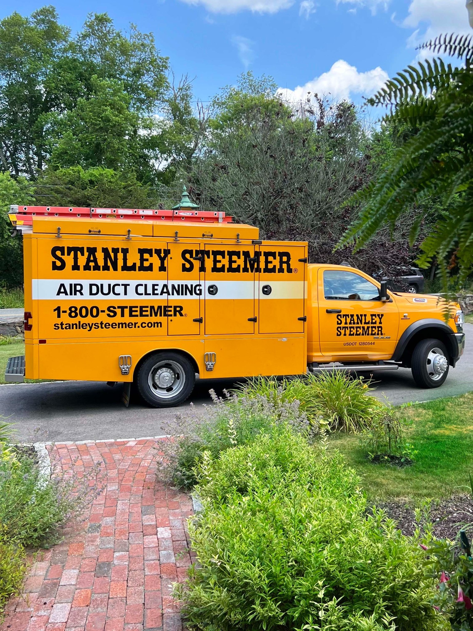 Stanley Steemer Gainesville Fl