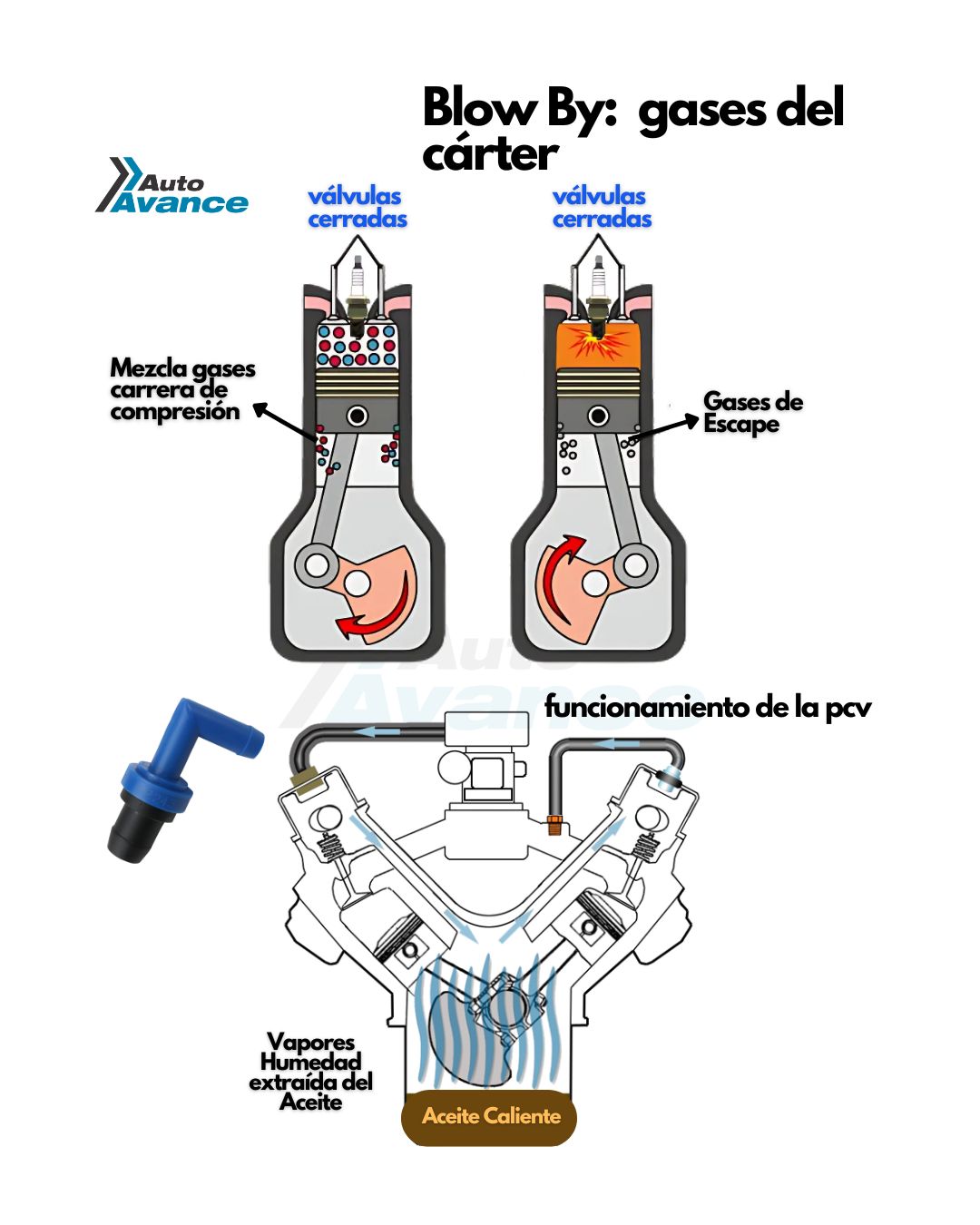 Auto - En todo motor de combustión, una parte de los gases de la ...