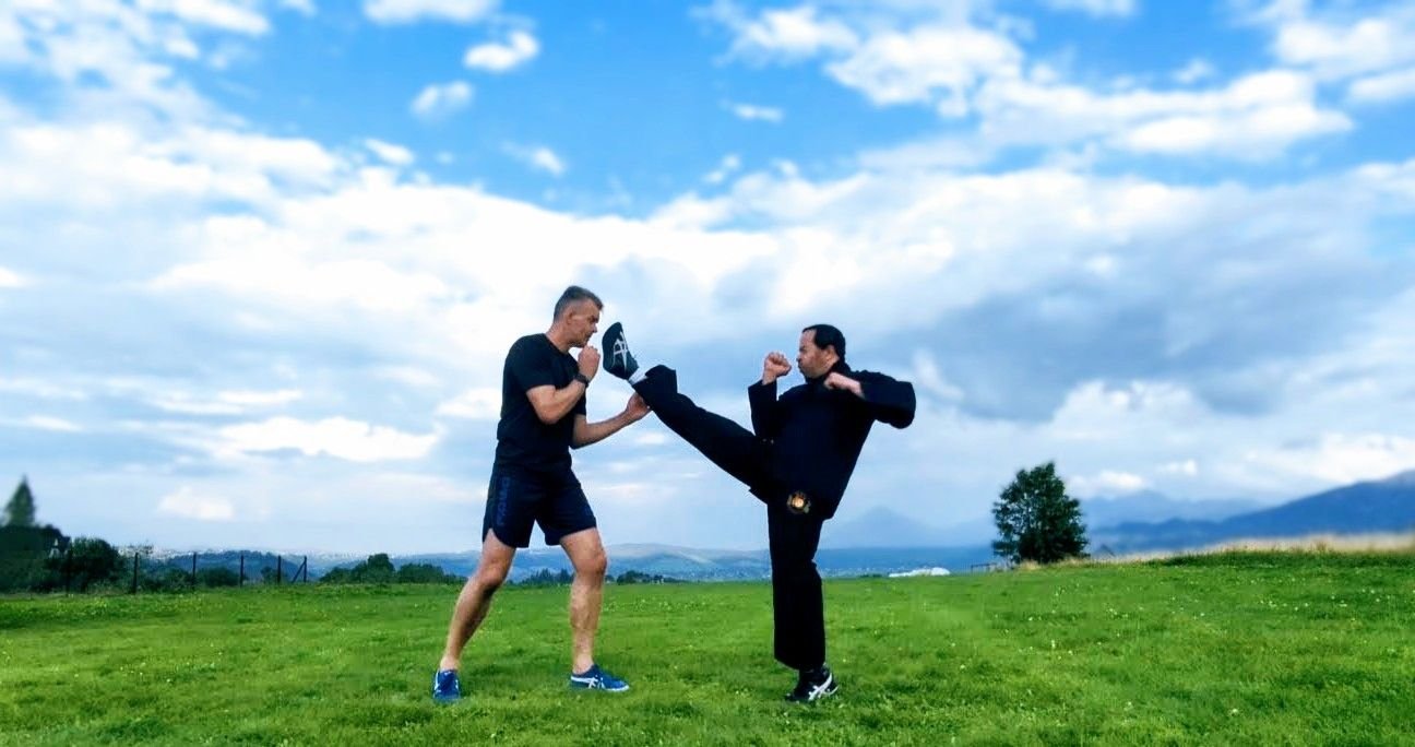 Inverted Hook Kick Learn the... - JKD Martial Arts Institute | Facebook