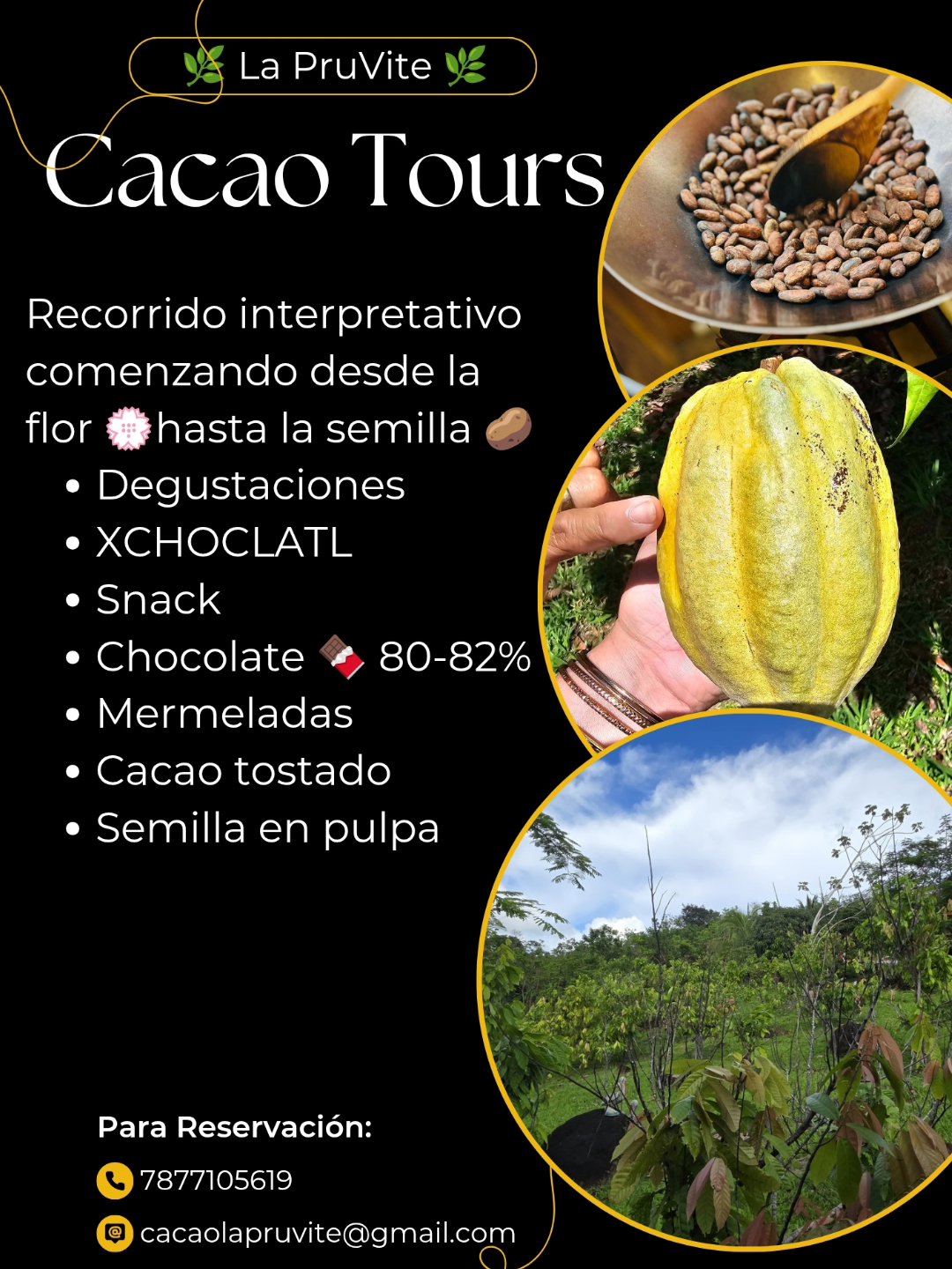 La - 🌿Quieres aprender sobre el cacao🥔🌿? Aquí te enseñamos, solo llama📱 ...