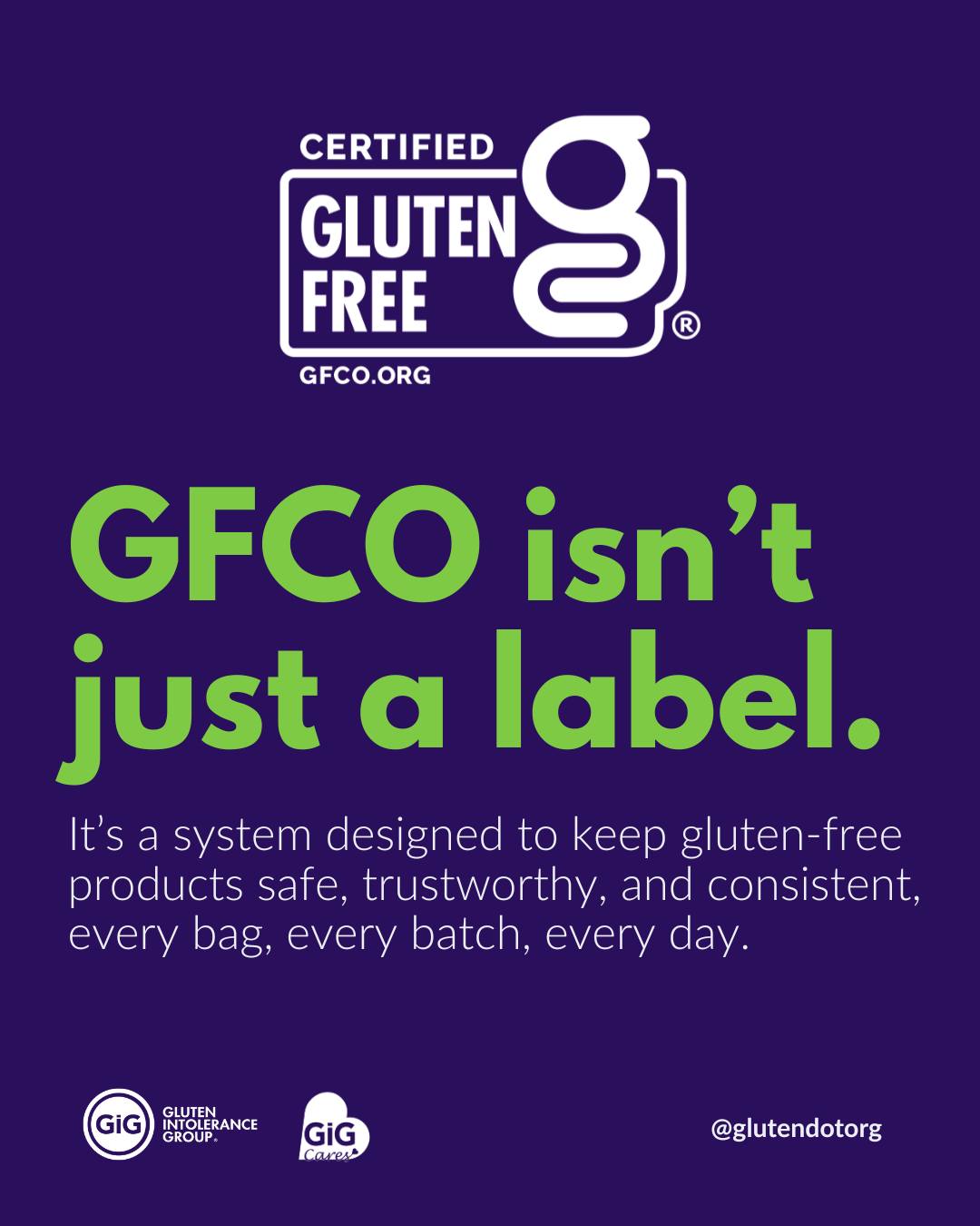 Gluten Intolerance Group | Auburn WA
