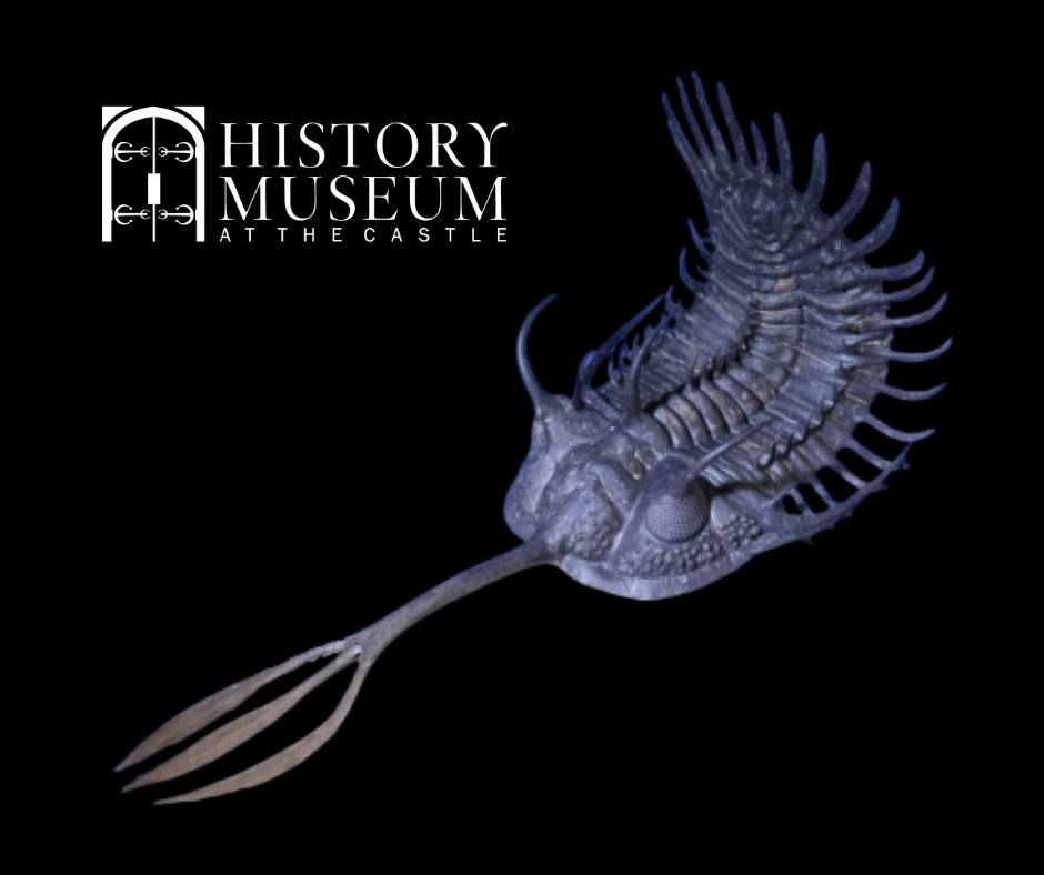 History - 📸 Walliserops trifurcatus, Middle Devonian Period, photo ...