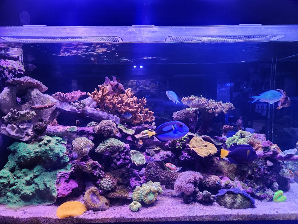 Bio Reef | Jacksonville FL