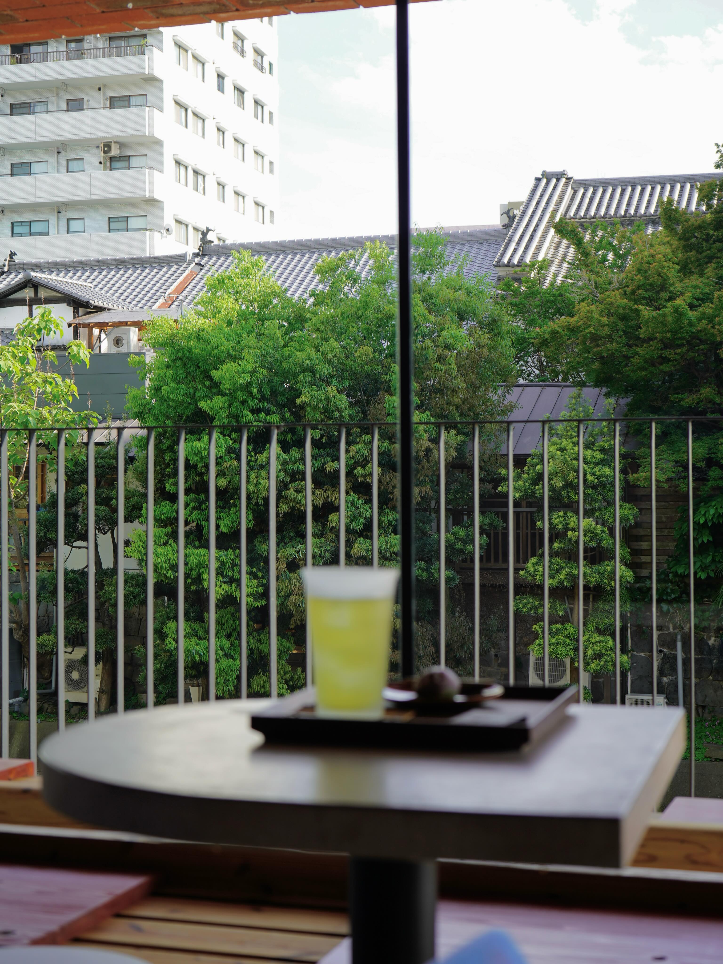 虎之助 | Kumamoto-shi Kumamoto