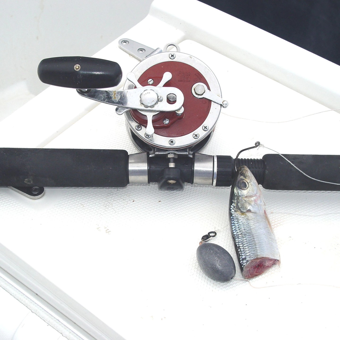 st croix fly rods premier St. SCPC710MHF2 Musky Casting Rod Tyepro Knot Tying Fishing Trout One LB TEST:25lb 0.16mm stainless steel tangle