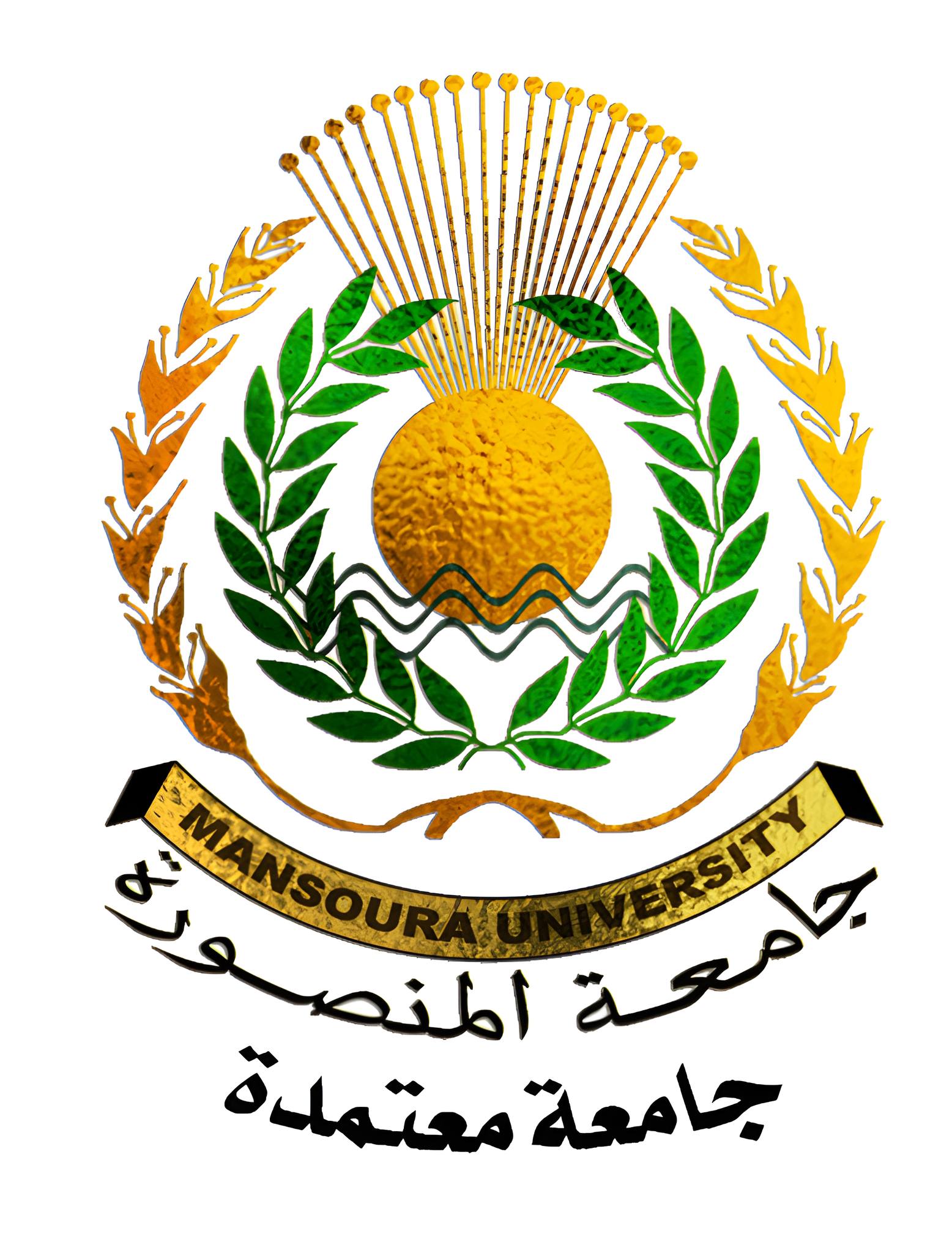 mansoura-university-facebook