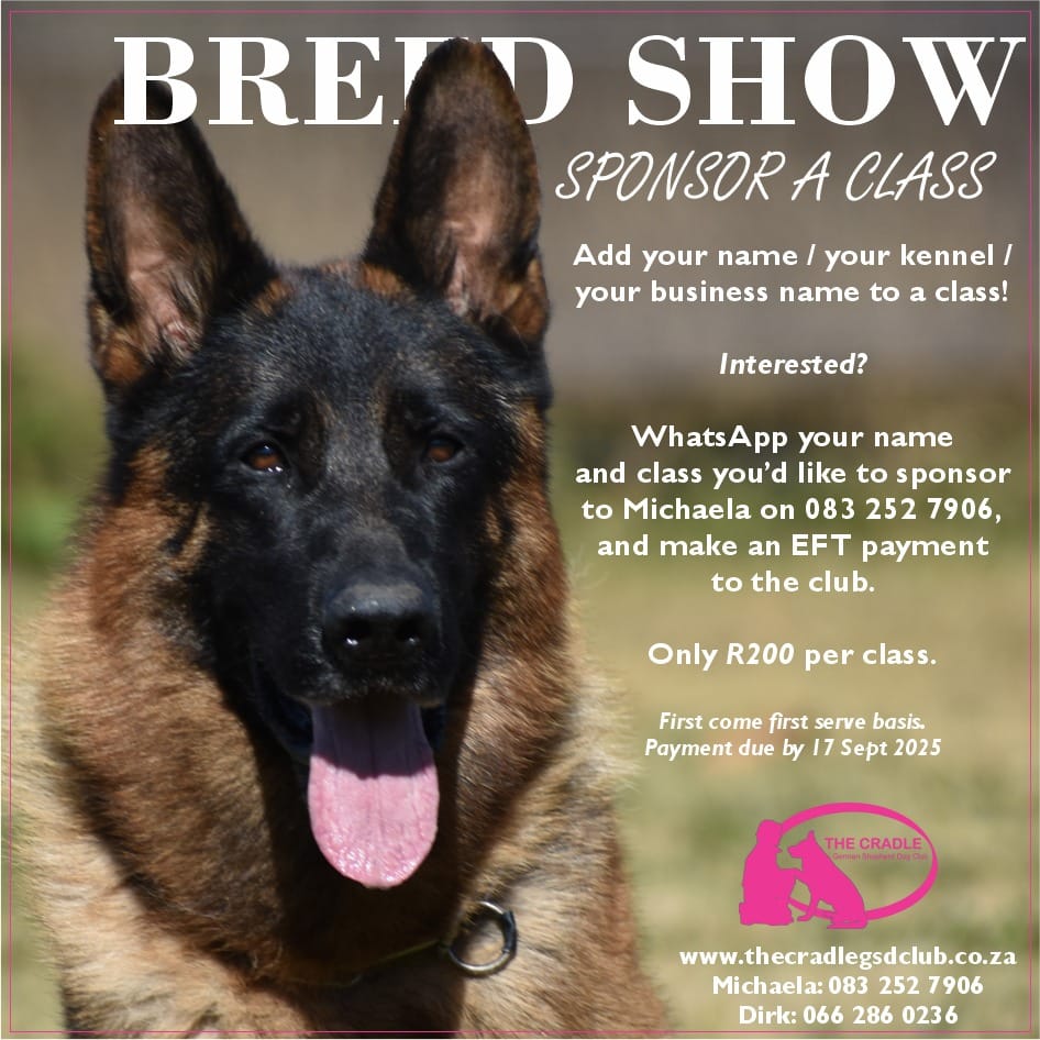 Vom Pfälzer Wald GSD Kennel | Krugersdorp