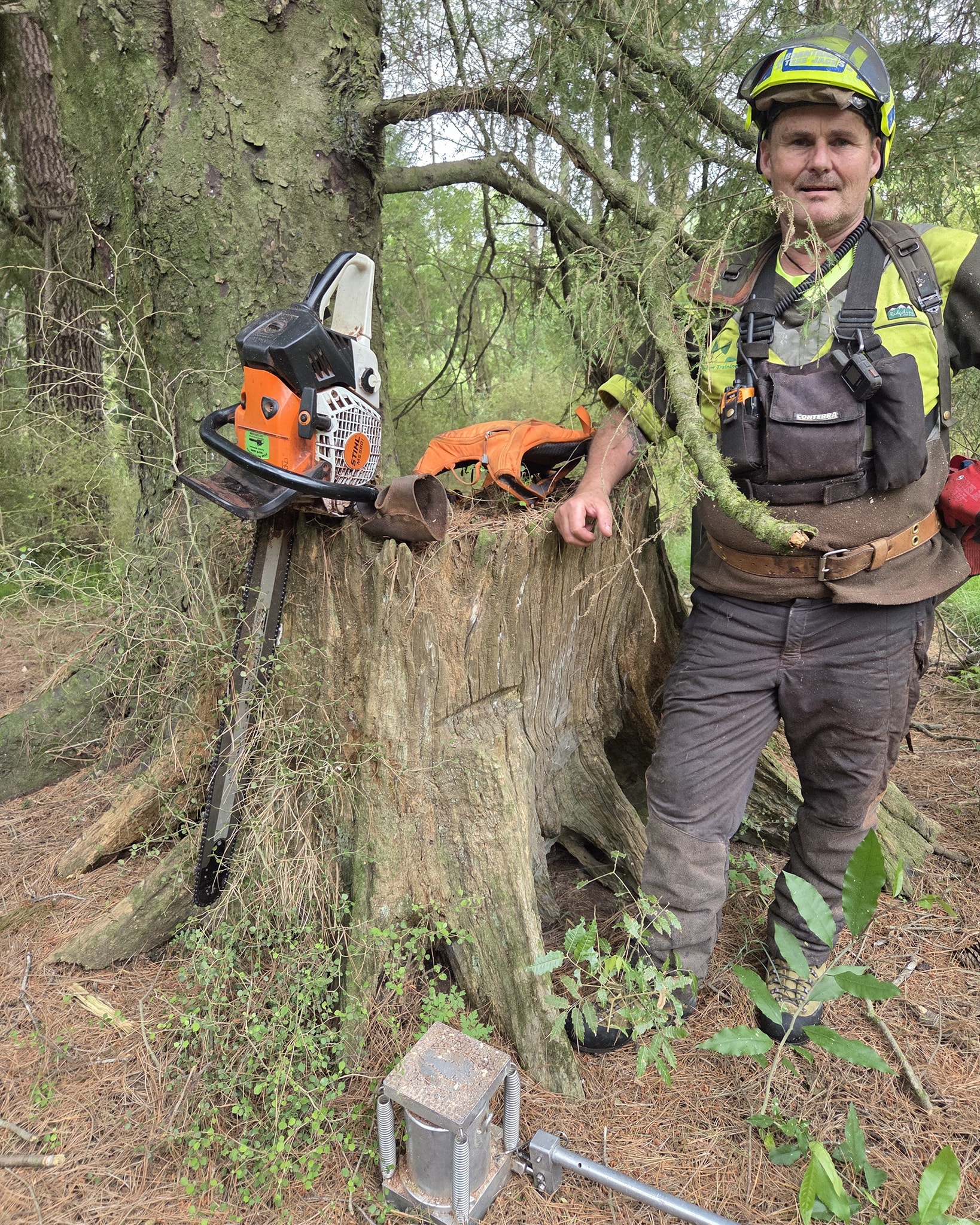 Tairawhiti Timber... - Tairawhiti Timber Training Ltd