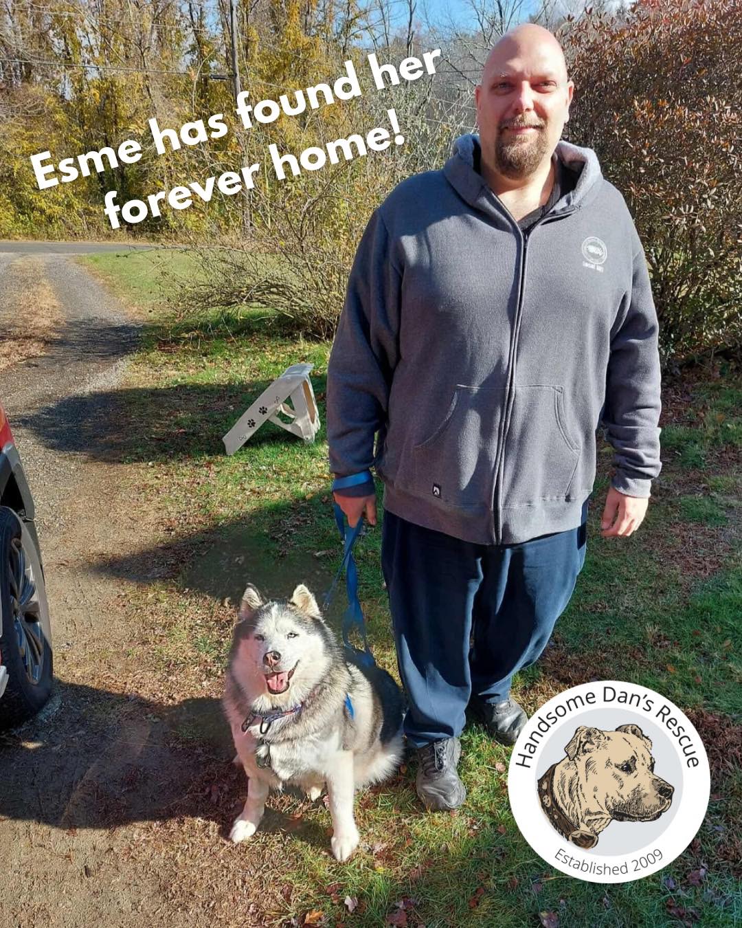 Handsome... - Handsome Dan's Rescue for Pit Bull Type Dogs