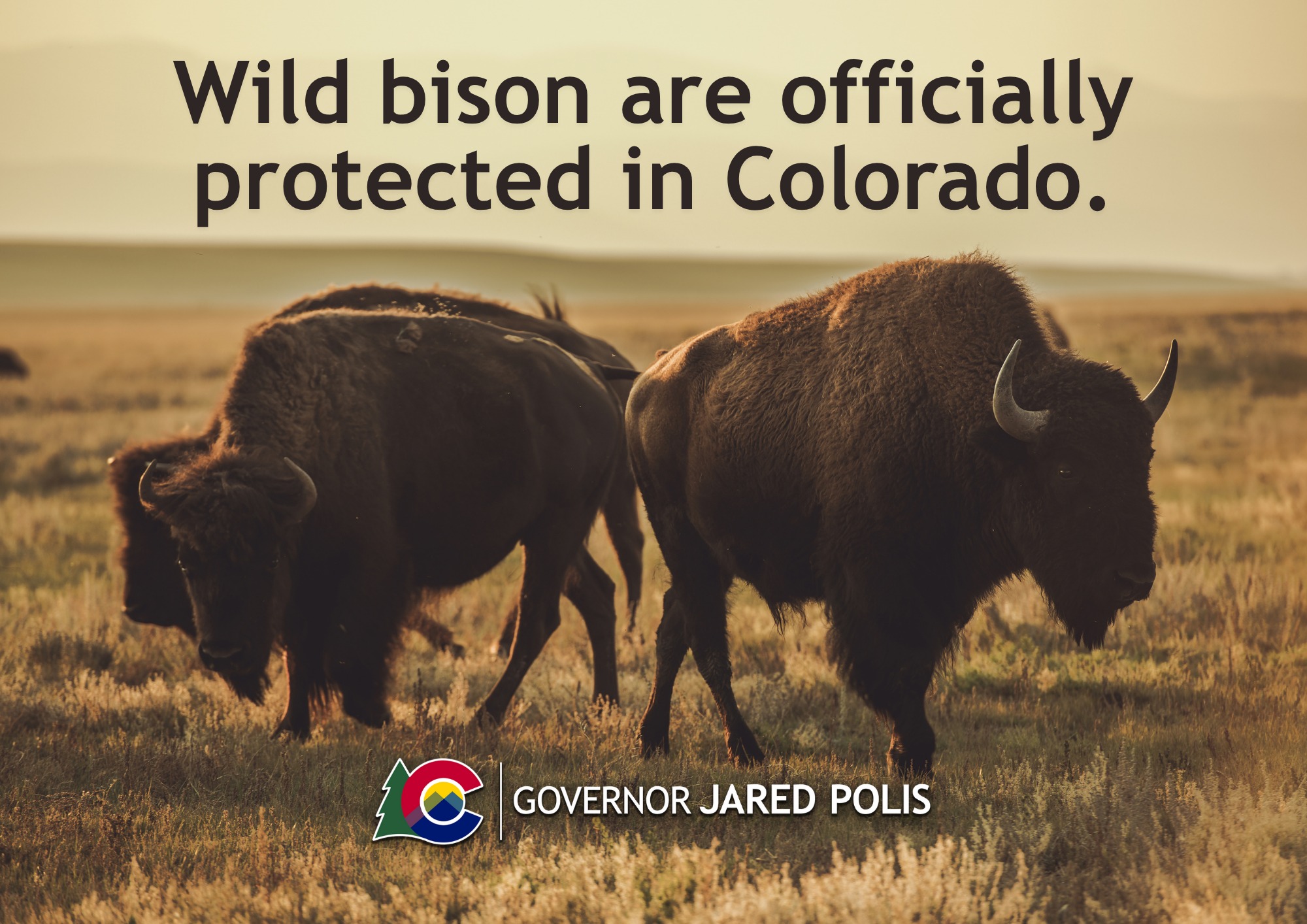 Governor - Earlier this year, Colorado took an important step to ...