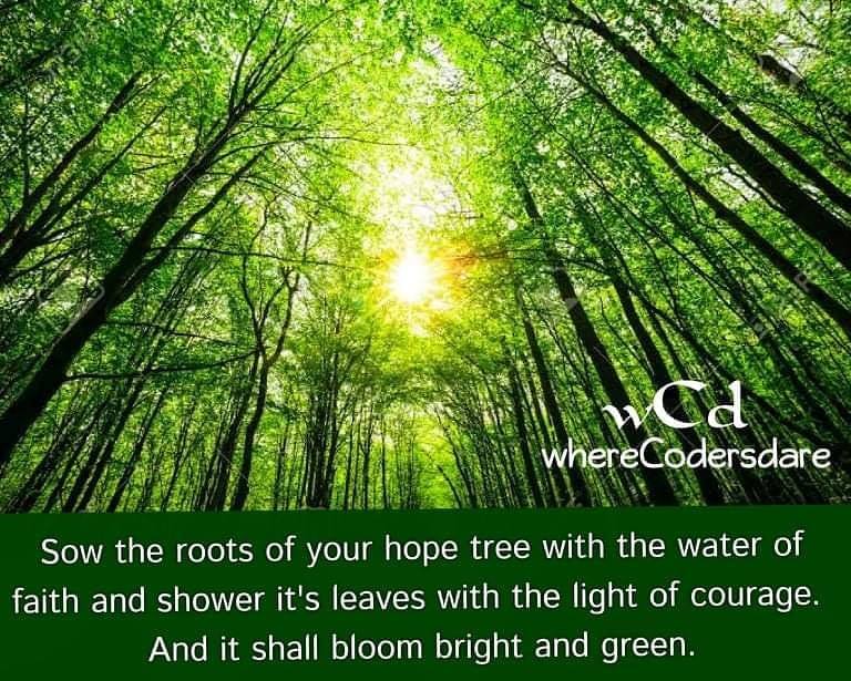 Wherecodersdare - Sow the roots of your hope tree with the... | Facebook