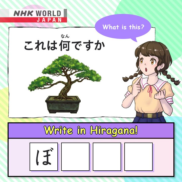 NHK WORLD-JAPAN - Learn Japanese 【Hiragana】 Can you write... | Facebook