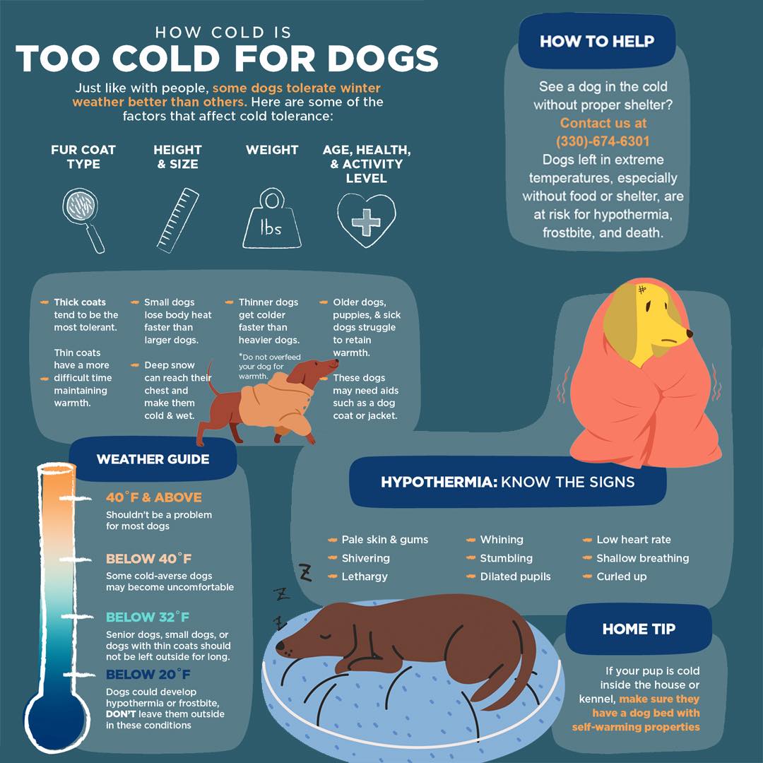 Visual Reference: With Extreme Cold Headed Our Way Take A Look At