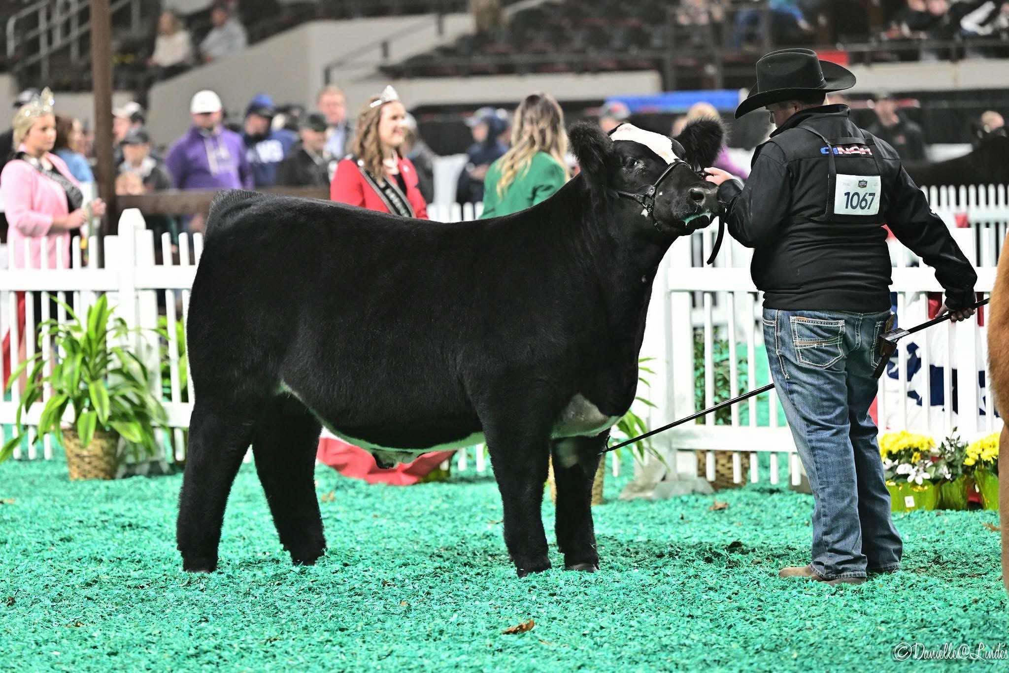 Pierce Cribbs - member of Lake Region FFA: “Kermit is my market 