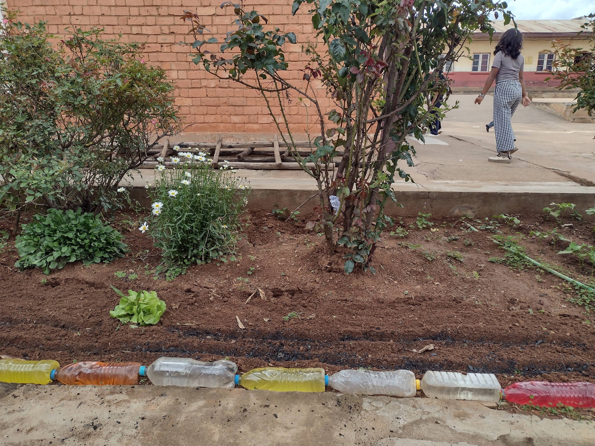 club-stem-lyc-e-nanisana-csln-page-antananarivo