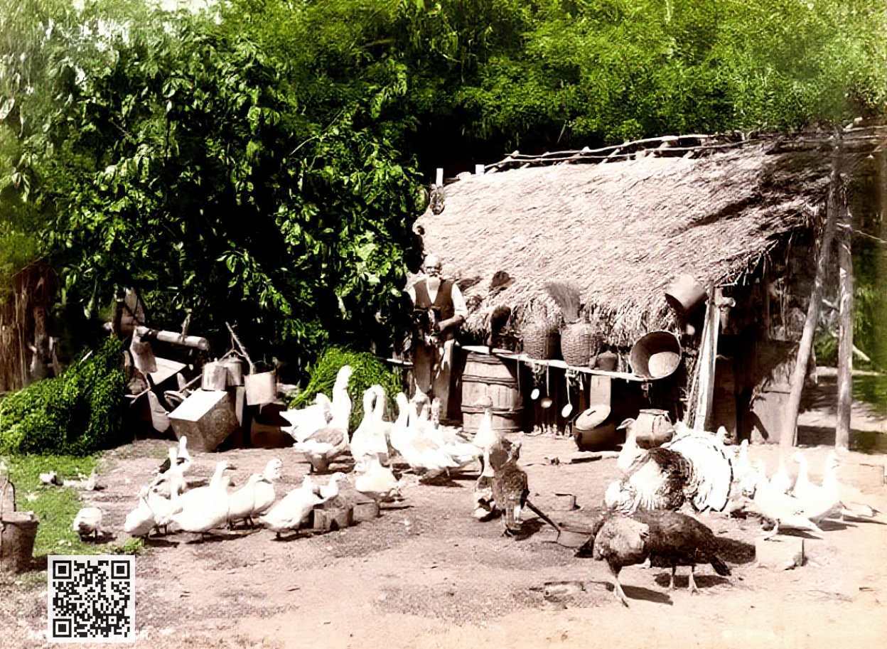 La acuñación patriota en Potosí: 1815, entre obstáculos y símbolos de ...