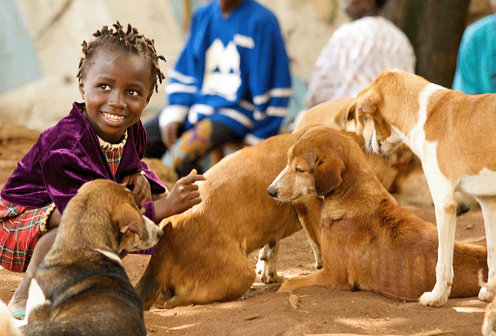 Maesio - 🌍 Rabies remains a serious public health problem in more than ...