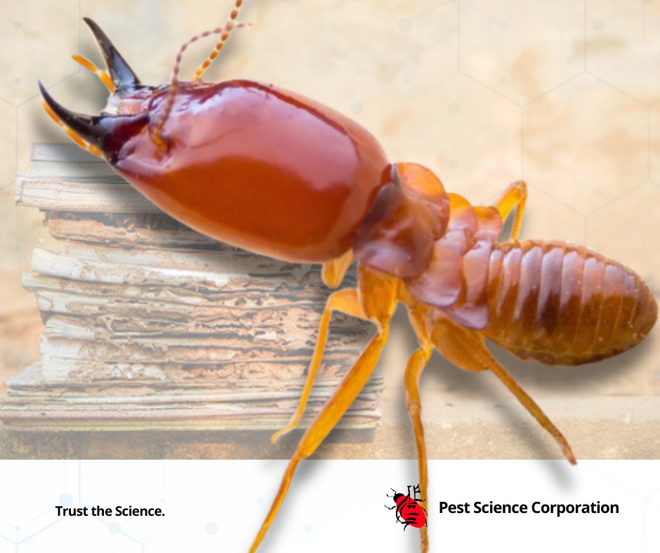 Pest Science... - Pest Science Corporation - Iloilo Branch