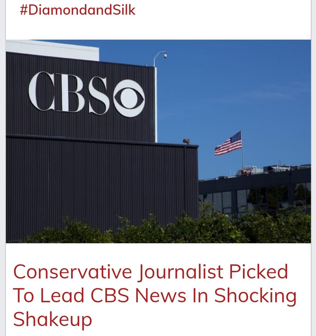 Conservative Journalist Picked To Lead... - Diamond And Silk | Facebook