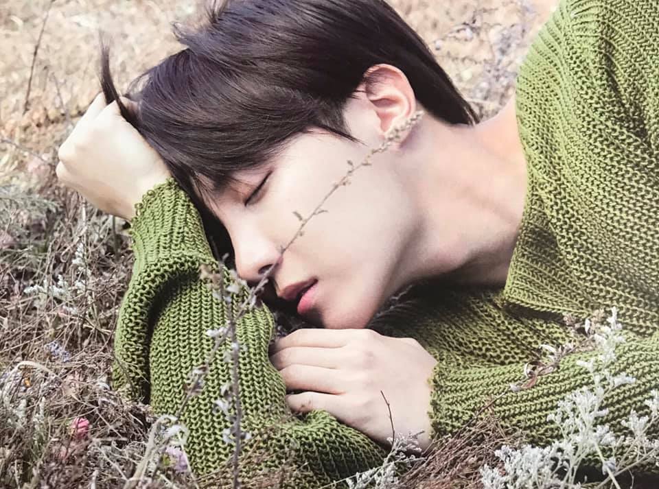 📸[SCANS]🍀 Imágenes de #jhope extraídas del 'BTS Memories of 2018