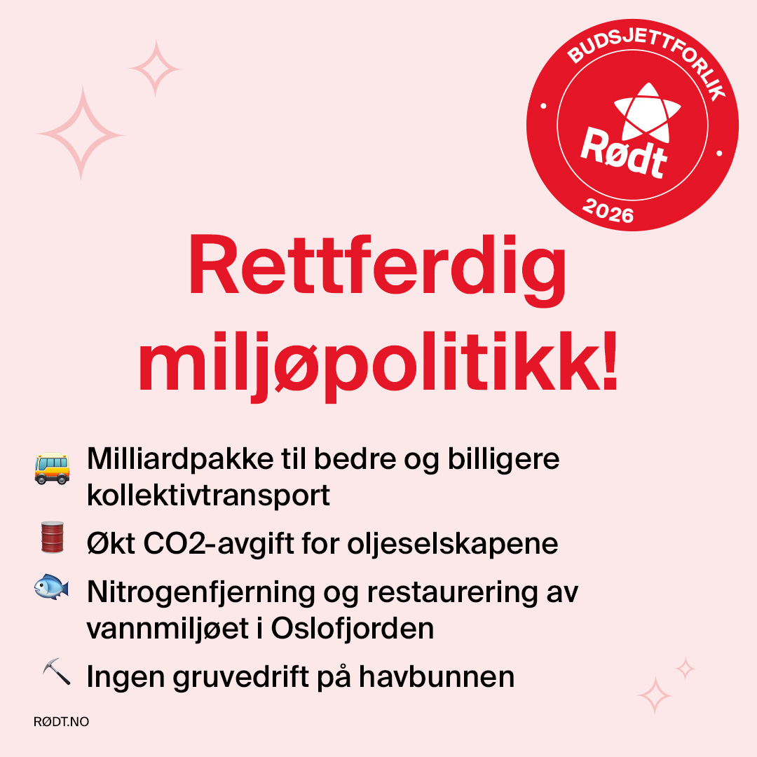 Rødt Drammen