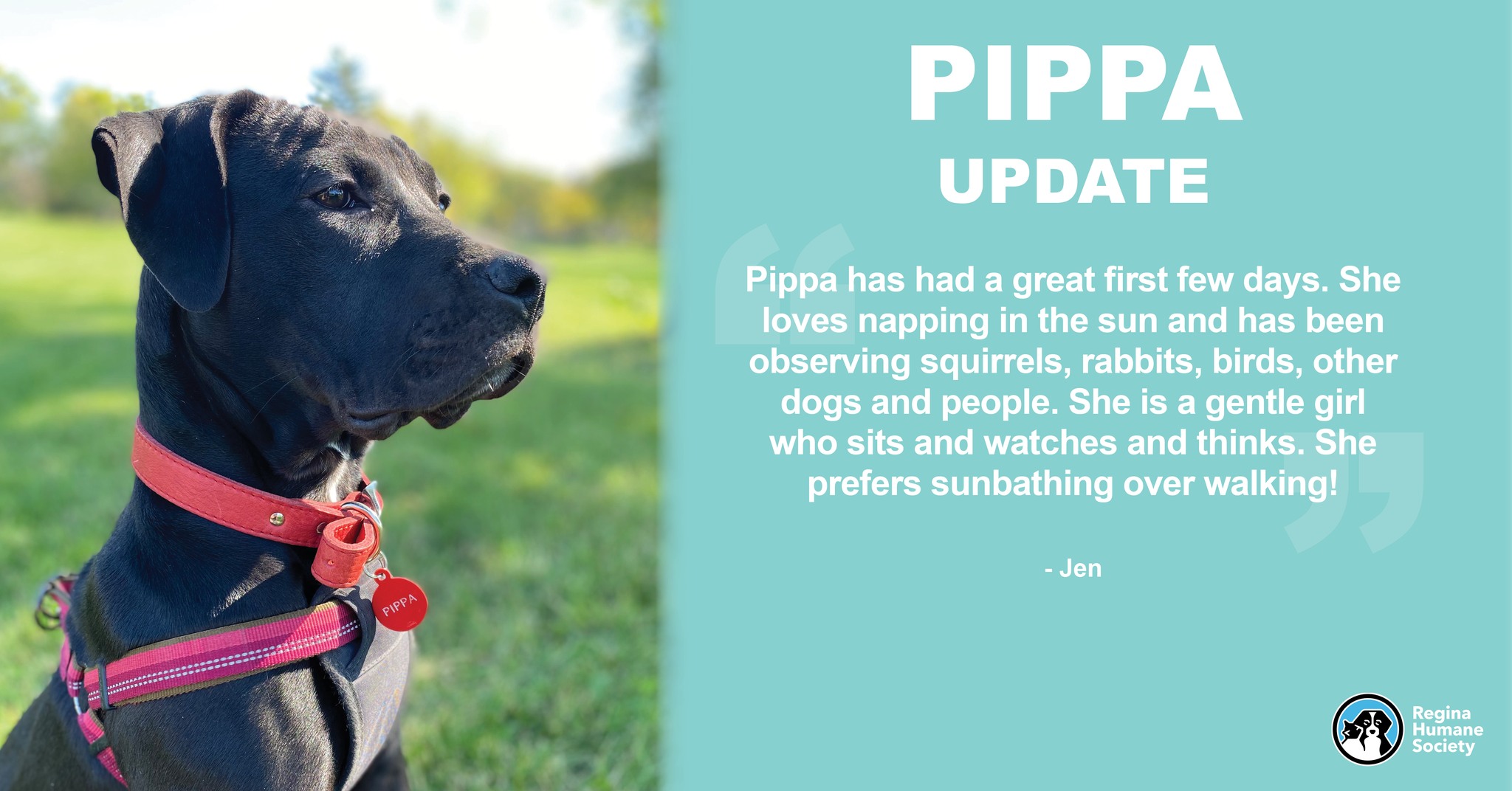 Regina - Here is an update from our friend Pippa! | Facebook