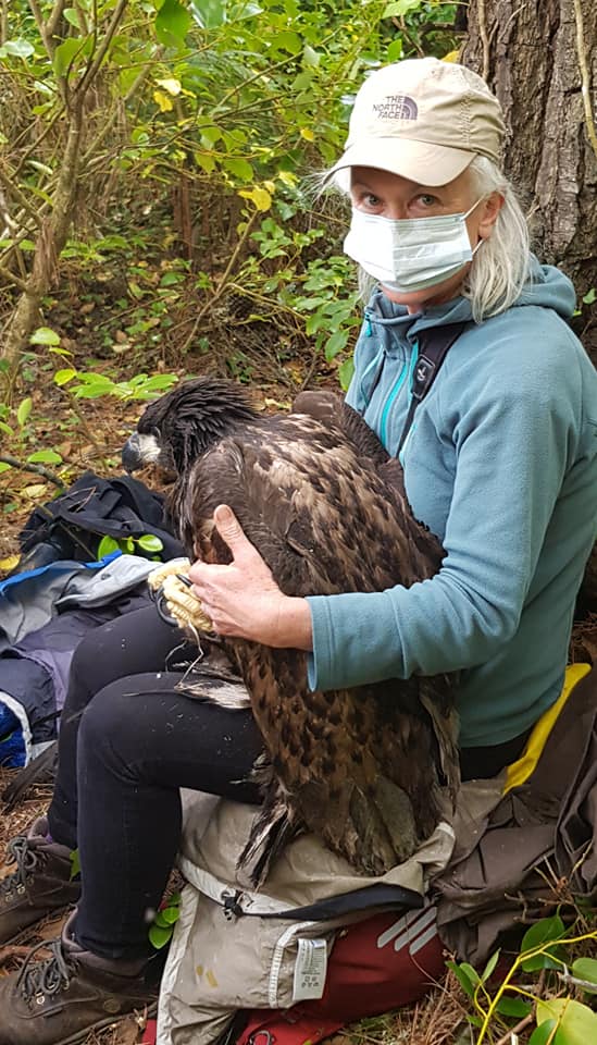 NPWS Conservation... - Glengarriff Woods Nature Reserve | Facebook