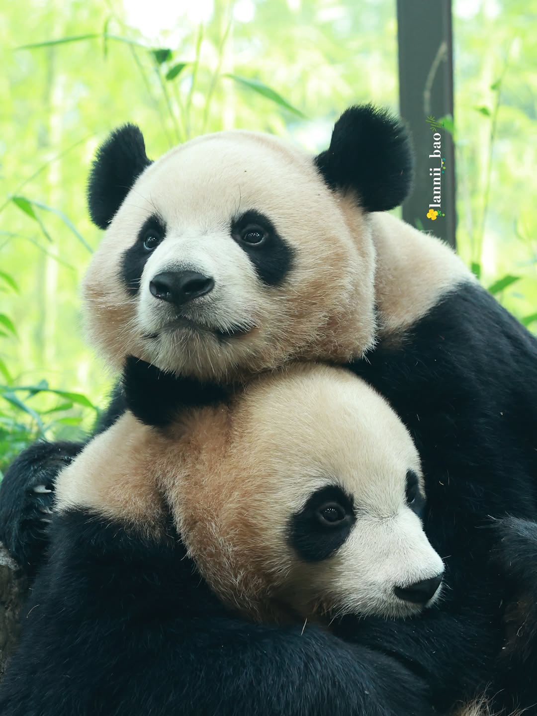 Rui Hui đáng yêu added a new photo. - Rui Hui đáng yêu
