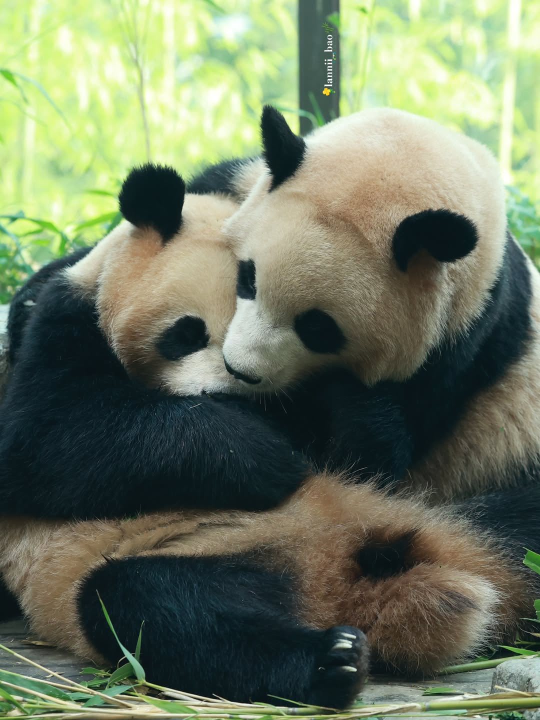 Rui Hui đáng yêu added a new photo. - Rui Hui đáng yêu